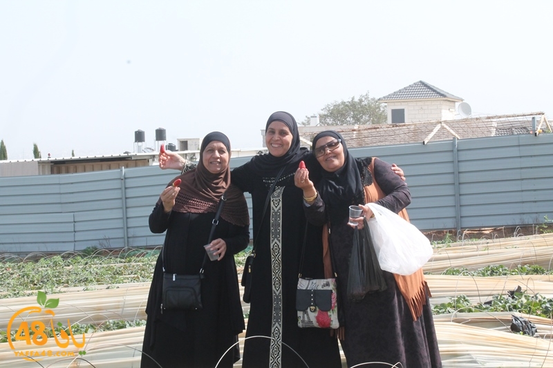 a7bab aqsa farawla (5).JPG